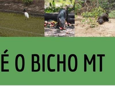 Foto da Notícia: OAB-MT adere à campanha da ONG É o Bicho para alimento e tratamento aos animais do Pantanal  